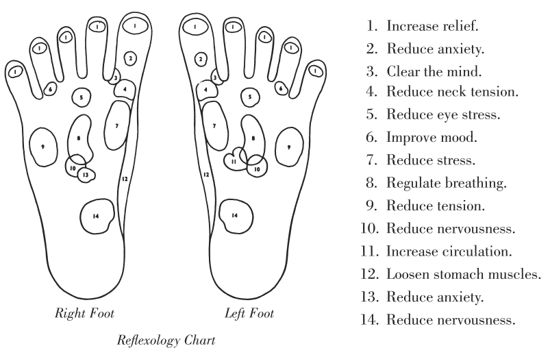 Extended Ebook Content For How To Give Her Absolute Pleasure Charts And Diagrams 5084